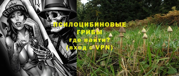 индика Осташков