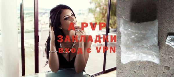 индика Осташков