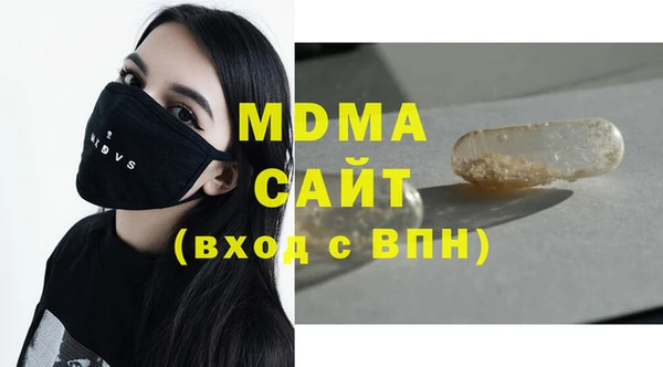 индика Осташков