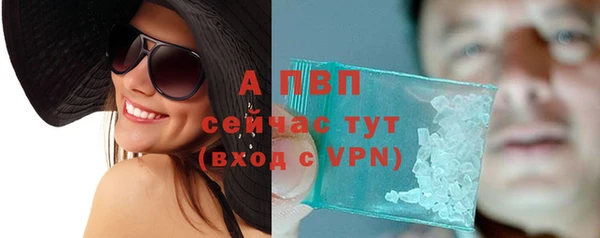 индика Осташков