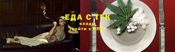 индика Осташков