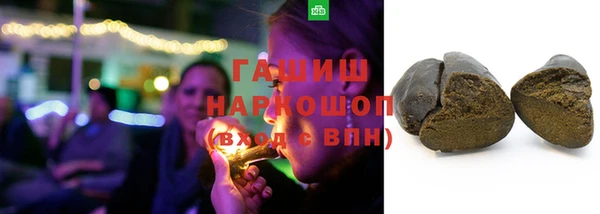 индика Осташков