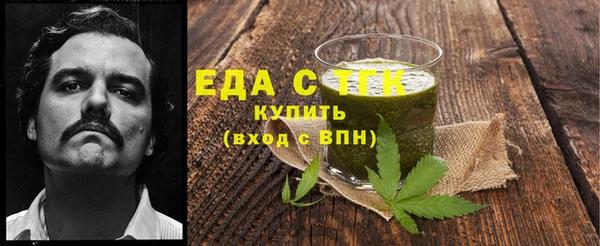 индика Осташков