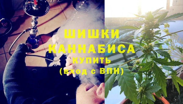 индика Осташков