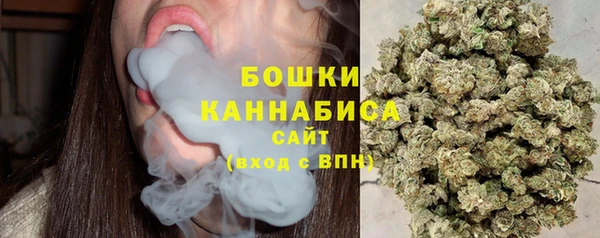 индика Осташков