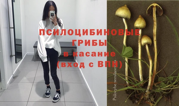 индика Осташков