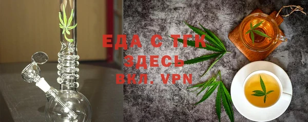 индика Осташков