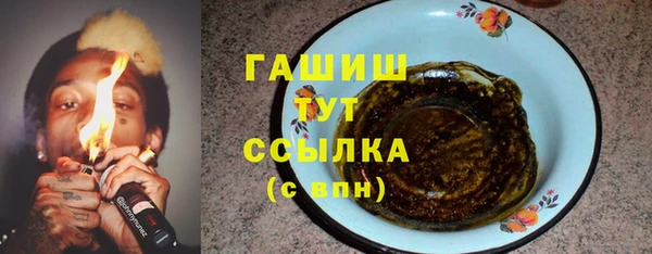 индика Осташков