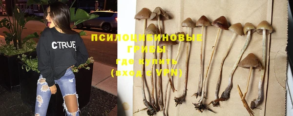 индика Осташков