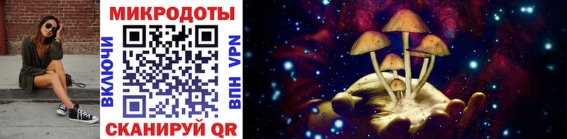 Псилоцибиновые грибы Cubensis  Кирсанов 